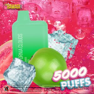 CALIFORNIA CLOUDS 5000 PUFFS - GUAVA ICE