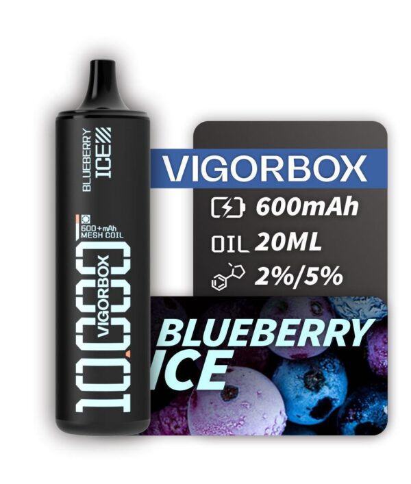 VIGORBOX DISPOSABLE 10K PUFFS - BLUEBERRY ICE