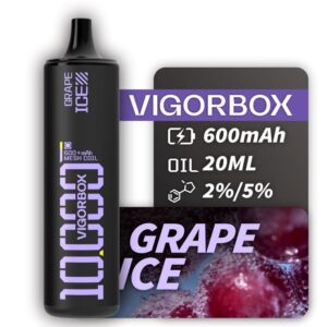 VIGORBOX DISPOSABLE 10K PUFFS - GRAPE ICE