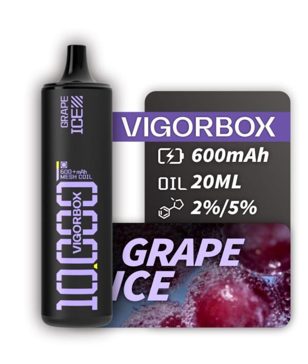 VIGORBOX DISPOSABLE 10K PUFFS - GRAPE ICE
