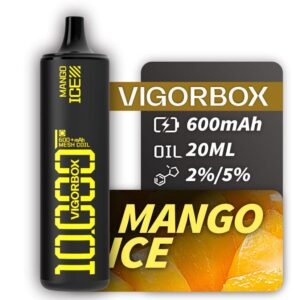 VIGORBOX DISPOSABLE 10K PUFFS - MANGO ICE