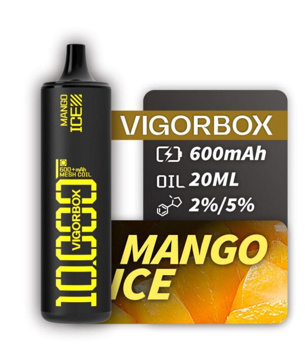 VIGORBOX DISPOSABLE 10K PUFFS - MANGO ICE