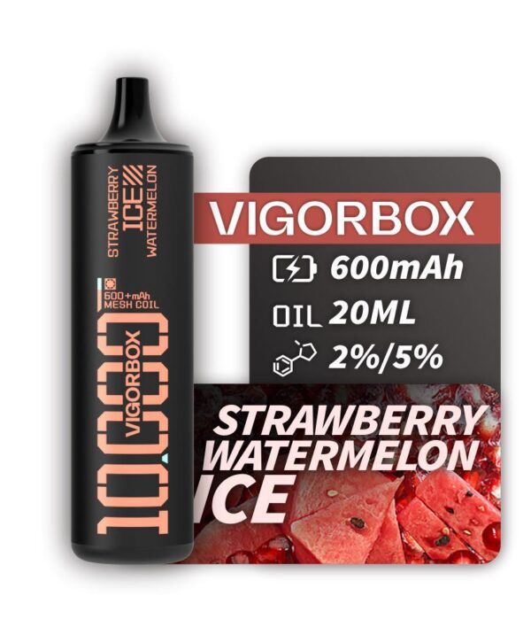 VIGORBOX DISPOSABLE 10K PUFFS - STRAWBERRY WATERMELON ICE
