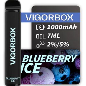 VIGORBOX 2500 PUFFS - BLUEBERRY ICE