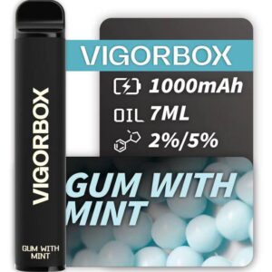 VIGORBOX 2500 PUFFS - GUM WITH MINT