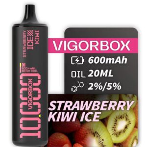 VIGORBOX DISPOSABLE 10K PUFFS - STRAWBERRY KIWI ICE
